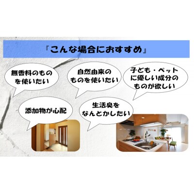 消臭スプレー  エコアーススプレー300ml+エコアースボトル500ml[No5698-2260]