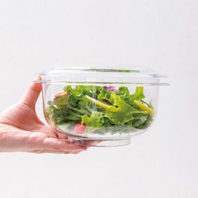 期間限定寄附額 [ 真空 サラダボウル 1個 ] 真空ポンプ 付き [No5698-2293]