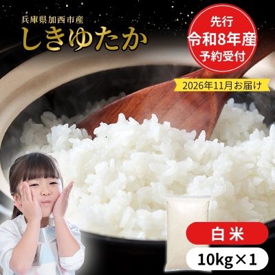 【令和8年産 先行受付】しきゆたか 白米 10kg《2026年11月発送》[No5698-2547]