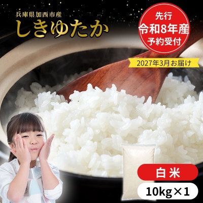 【令和8年産 先行受付】しきゆたか 白米 10kg《2027年3月発送》[No5698-2551]