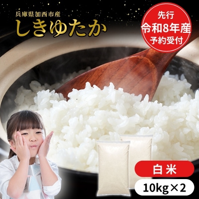 【令和8年産 先行受付】しきゆたか 白米 20kg (10kg×2)[No5698-2552]