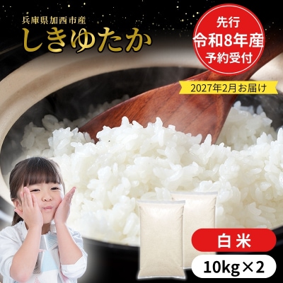 【令和8年産 先行受付】しきゆたか 白米 20kg《2027年2月発送》[No5698-2556]