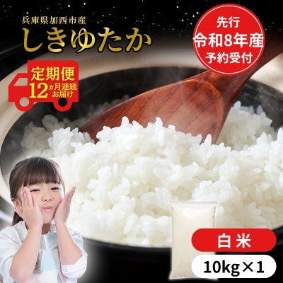 定期便【令和8年 先行受付】しきゆたか 白米 10kg 12か月連続お届け[No5698-2559]