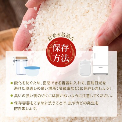 定期便【令和8年 先行受付】しきゆたか 白米 10kg 12か月連続お届け[No5698-2559]