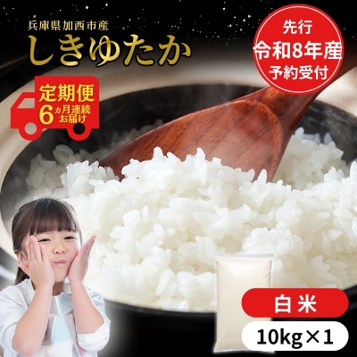 定期便【令和8年 先行受付】しきゆたか 白米 10kg 6か月連続お届け[No5698-2558]
