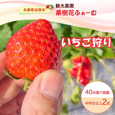 いちご狩り40分食べ放題 中学生以上2名[No5698-2644]