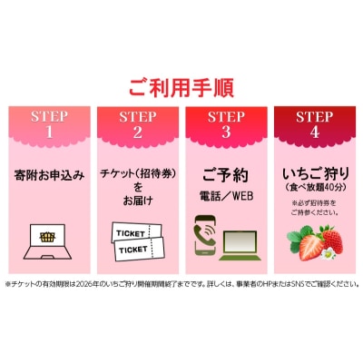 いちご狩り40分食べ放題 65歳以上2名[No5698-2646]