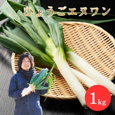 数量限定 テレビで話題! ひょうごエヌワン 白ネギ 1kg 4～7本[No5698-2658]