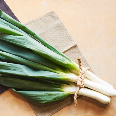 数量限定 テレビで話題! ひょうごエヌワン 白ネギ 1kg 4～7本[No5698-2658]