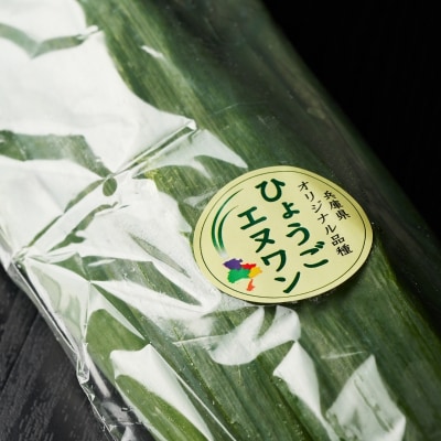 数量限定 テレビで話題! ひょうごエヌワン 白ネギ 1kg 4～7本[No5698-2658]