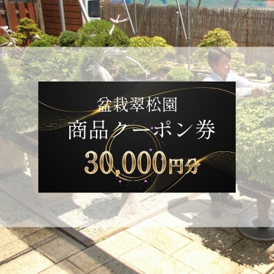 盆栽 翠松園 商品クーポン券 30,000円分[No5698-2663]