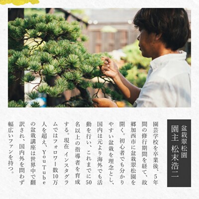 盆栽 翠松園 商品クーポン券 30,000円分[No5698-2663]