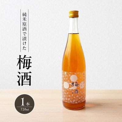 梅酒 純米原酒でつけた梅酒 720ml 1本 果実酒 低アルコール[No5698-2484]