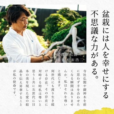 盆栽 翠松園 商品クーポン券 300,000円分[No5698-2667]