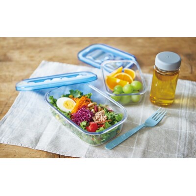 期間限定寄附額 [真空ピュアボックス S] 真空ポンプ付き 真空保存容器 [No5698-2489]