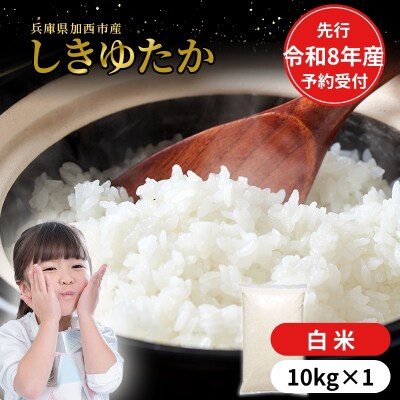 【令和8年産 先行受付】しきゆたか 白米 10kg[No5698-2546]