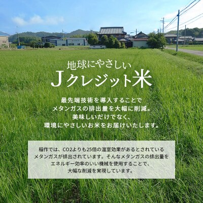 【令和8年産 先行受付】しきゆたか 白米 10kg[No5698-2546]
