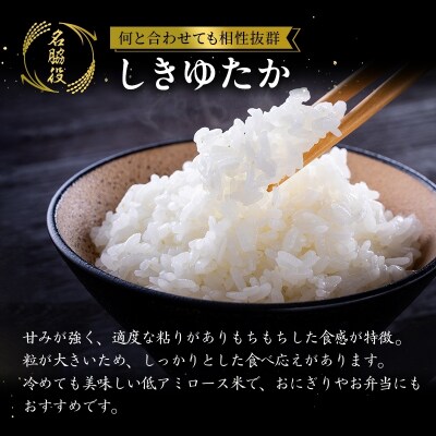 【令和8年産 先行受付】しきゆたか 白米 10kg[No5698-2546]