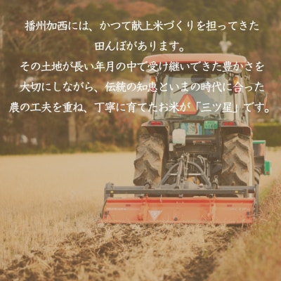 食べてみたいお米 Alatana 米 「三ツ星」 白米 5kg 精米 お米[No5698-2684]