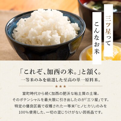 食べてみたいお米 Alatana 米 「三ツ星」 白米 5kg 精米 お米[No5698-2684]