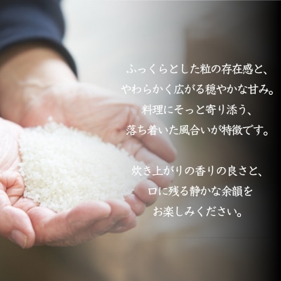 食べてみたいお米 Alatana 米 「三ツ星」 白米 5kg 精米 お米[No5698-2684]