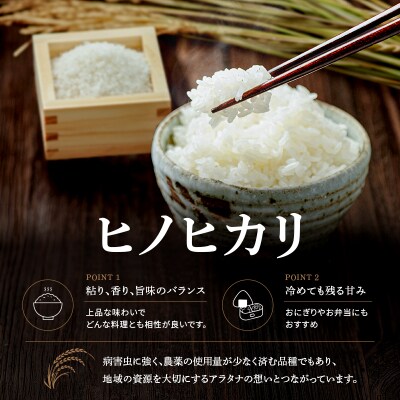 食べてみたいお米 Alatana 米 「三ツ星」 白米 5kg 精米 お米[No5698-2684]