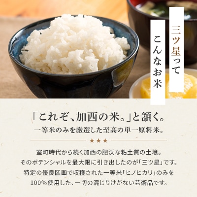 食べてみたいお米 Alatana 米 「三ツ星」 白米 10kg 精米[No5698-2685]