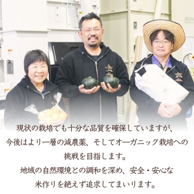 食べてみたいお米 Alatana 米 「三ツ星」 白米 10kg 精米[No5698-2685]