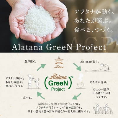 食べてみたいお米 Alatana 米 「三ツ星」 白米 10kg 精米[No5698-2685]