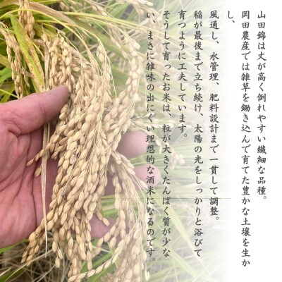 日本酒 純米大吟醸 「お米も一番星 田」 720ml×2本 化粧箱入り[No5698-2459]