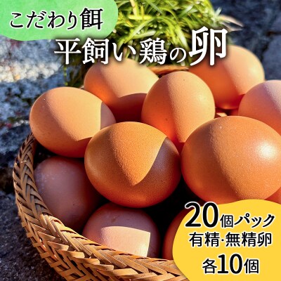 こだわり餌の平飼い鶏の卵 20個(有精・無精卵各10個)Mサイズ以上[No5698-2764]