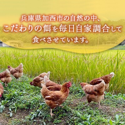 こだわり餌の平飼い鶏の卵 30個(有精・無精卵各15個)Mサイズ以上[No5698-2765]