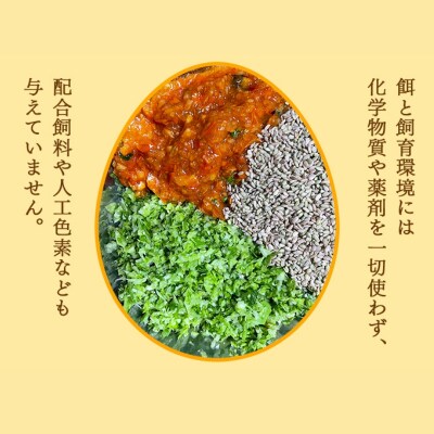 こだわり餌の平飼い鶏の卵 30個(有精・無精卵各15個)Mサイズ以上[No5698-2765]