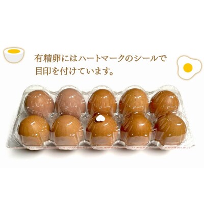 こだわり餌の平飼い鶏の卵 30個(有精・無精卵各15個)Mサイズ以上[No5698-2765]