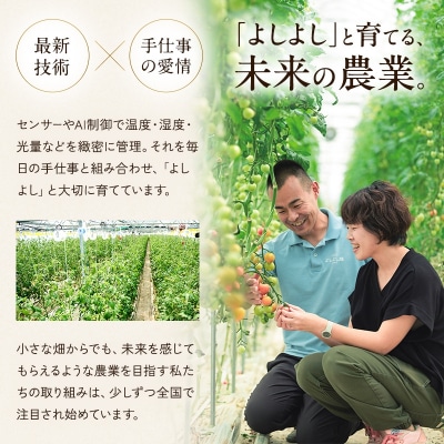 富久錦 純青 生酛純米&よしよし畑 クラフトトマト 中玉 220g×3袋[No5698-2773]