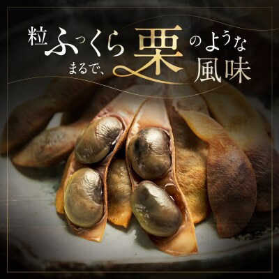 完熟黒枝豆(冷凍)6P[No5698-2759]