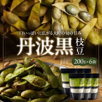 丹波黒枝豆(冷凍)6P[No5698-2761]