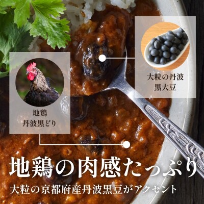 キーマカレー 地鶏丹波黒どりと丹波黒大豆のキーマカリー 10食セット[No5698-2340]