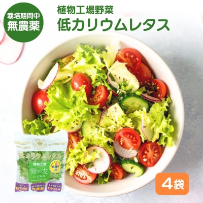 レタス 低カリウムレタス 4個入り カリウム85%カット 洗わず食べられる[No5698-2796]