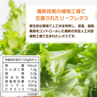 レタス 低カリウムレタス 4個入り カリウム85%カット 洗わず食べられる[No5698-2796]