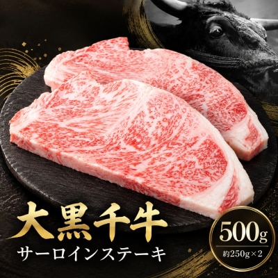 大黒千牛　サーロインステーキ 500g 黒毛和牛 ステーキ 和牛[No5698-2817]