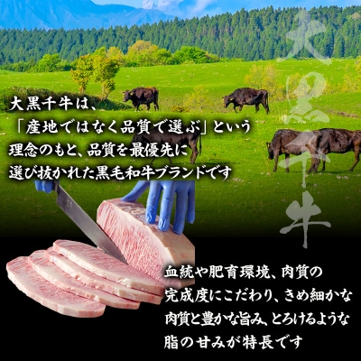 大黒千牛　サーロインステーキ 500g 黒毛和牛 ステーキ 和牛[No5698-2817]