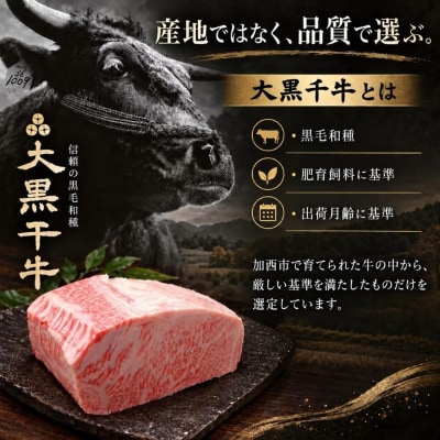 大黒千牛　サーロインステーキ 500g 黒毛和牛 ステーキ 和牛[No5698-2817]