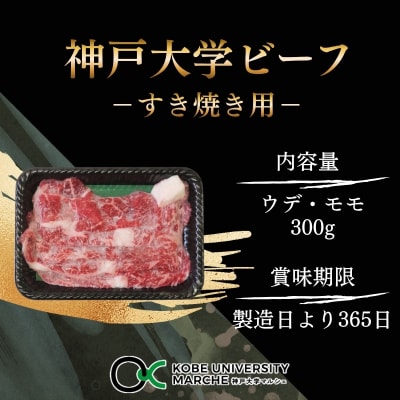神戸牛 神戸大学ビーフ すき焼き用 お試し 300g[No5698-2780]