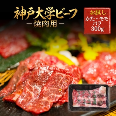 神戸牛 神戸大学ビーフ 焼肉用 お試し 300g[No5698-2781]