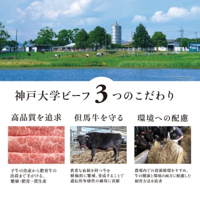 神戸牛 神戸大学ビーフ 焼肉用 お試し 300g[No5698-2781]