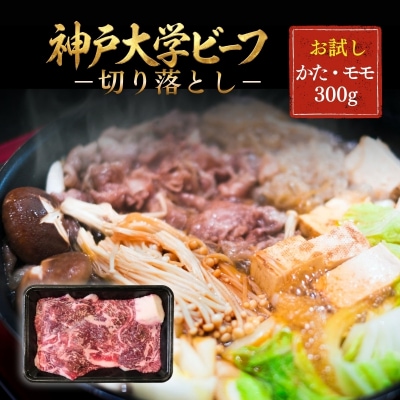 神戸牛 神戸大学ビーフ 切り落とし お試し 300g[No5698-2783]