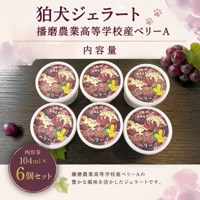 狛犬ジェラート 播磨農業高等学校産 ぶどう ベリーA 6個セット[No5698-2822]
