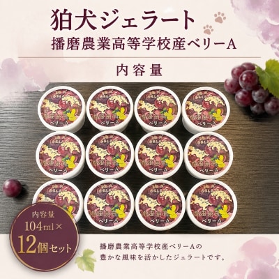 狛犬ジェラート 播磨農業高等学校産 ぶどう ベリーA 12個セット[No5698-2823]