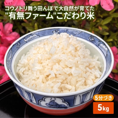 コウノトリ舞う田んぼで大自然が育てた有無ファームこだわり米 5分づき5kg[No5698-2788]